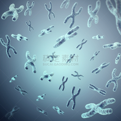 科学,生物学,三维图形,染色体,打叉,概念,灰色背景,显微镜,艺术,酸