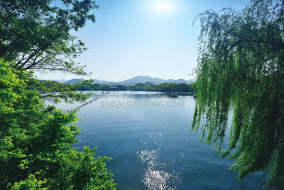 湖,自然美,西,西湖,杭州,浙江省,柳树,水,天空,公园