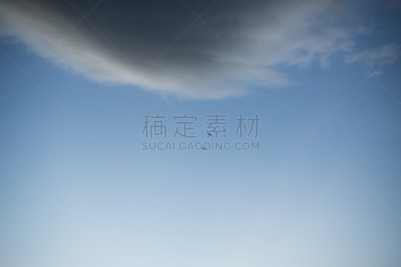 鸟类,自然,野生动物,水平画幅,低的,2015年,动物,动物学,风景,飞