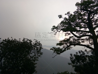 阴影,自然,特里加瓦尔区,印度次大陆,图像,日光,乌塔兰恰尔邦,枝,叶子,无人