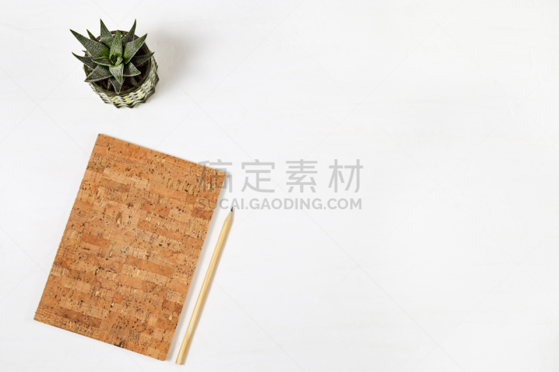 科克郡,铅笔,植物,背景,木制,在上面,看风景,笔记本,留白,工作
