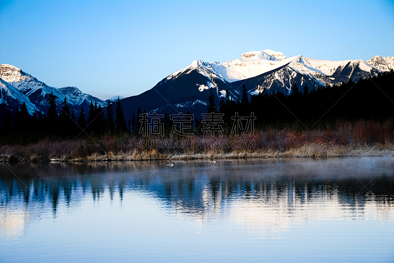 维米里恩湖,阿尔伯塔省,冬天,黎明,加拿大,加拿大落基山脉,水平画幅,雪,鸟类,早晨