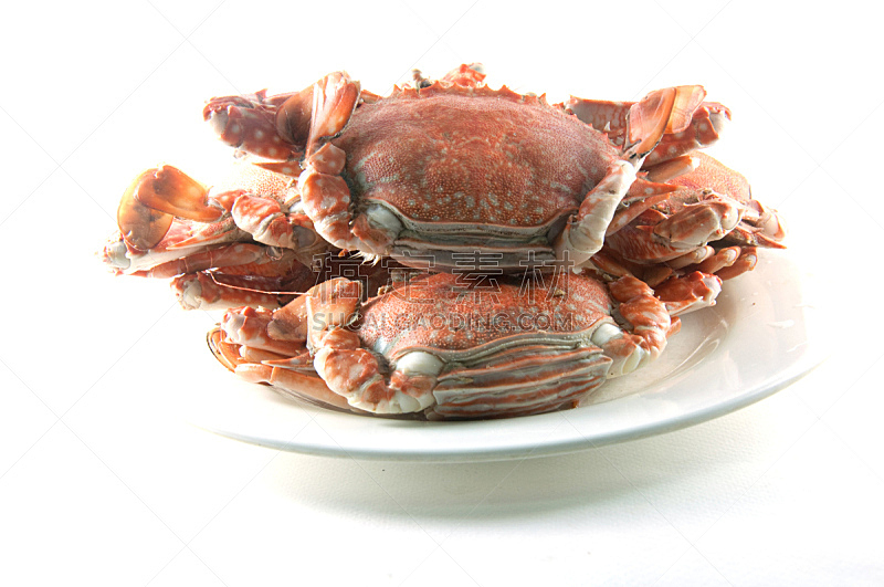 螃蟹,餐具,水平画幅,无人,2015年,动物,沸腾的,海洋,食品,肉