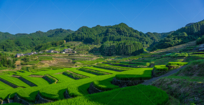 梯田,田地,长崎,稻,日本,长崎市,灌溉设备,水,天空,美