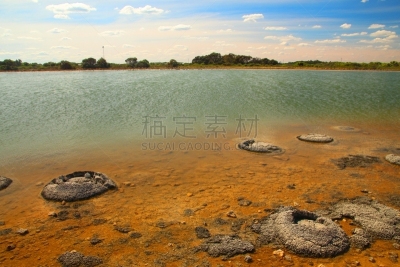 叠岩,湖,颤藻属,cervantes,藻青菌,生理盐水,后备运动员,西澳大利亚,偏远地区,水