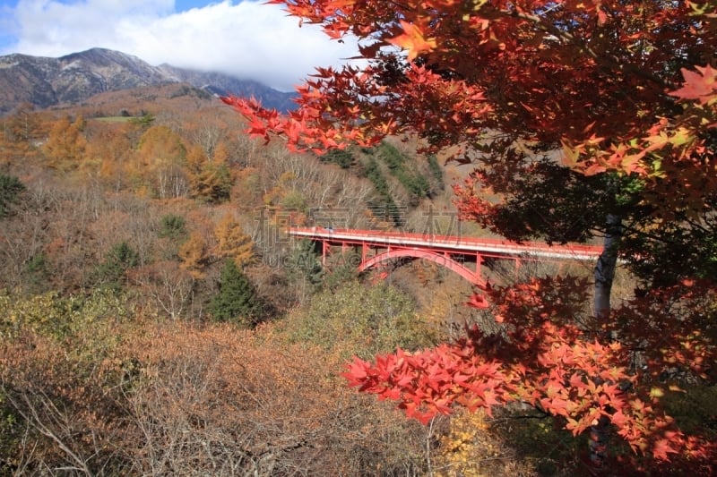 叶子,秋天,清里明良,桥,东河,天空,里山,水平画幅,无人,银杏