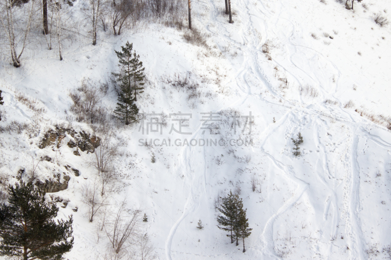 冬天,滑雪雪橇,森林,滑雪坡,食管下括约肌,水平画幅,雪,户外,针叶树