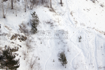 冬天,滑雪雪橇,森林,滑雪坡,食管下括约肌,水平画幅,雪,户外,针叶树