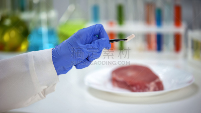胶囊,拿着,背景,肉,药,医学样本,技术员,兽医,水平画幅,科学