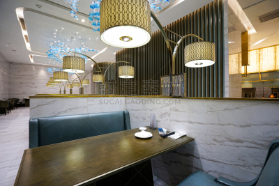 交通工具内部,豪华酒店,餐馆,座位,灯,石材,家具,饮料,现代,晚餐