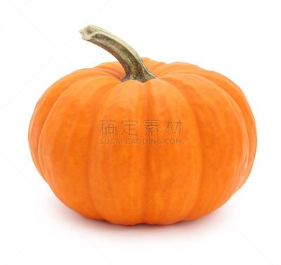 迷你南瓜,南瓜,南瓜属,背景分离,小的,白色背景,水平画幅,葫芦,无人,特写