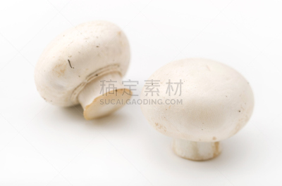蘑菇,水平画幅,无人,材料,图像,白蘑菇,室内,白色,植物,成分