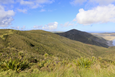 新西兰,cape reinga,海岸线,水平画幅,沙丘,无人,户外,海洋,摄影