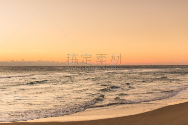 正面视角,棕榈沙滩镇,冷,天空,风,沙子,光,棕榈树,明亮,海浪
