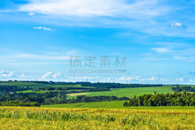 Countryside Landscapes in the Brazilian State of ParanÃ¡, Near the Cities of Cascavel and Toledo