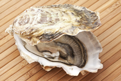 牡蛎,太平洋牡蛎,饮食,水平画幅,软体动物,开胃品,生食,海产,特写,晚餐
