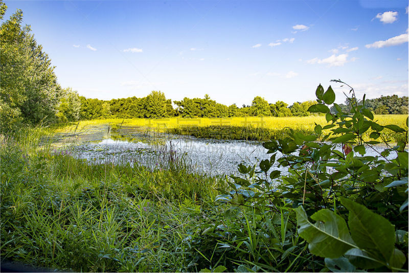 沼泽,白昼,自然美,劳蒂尔,voyageurs national park,北方针叶林,明尼苏达,野生动物保护,魁北克,留白