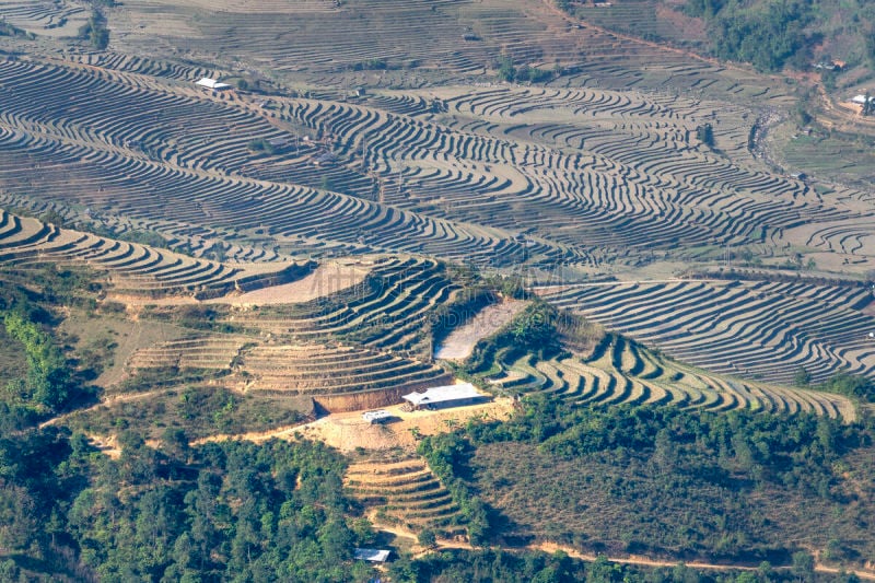 拉茶,梯田,查济,mud pot,白族,农业,越南,米,环境,稻