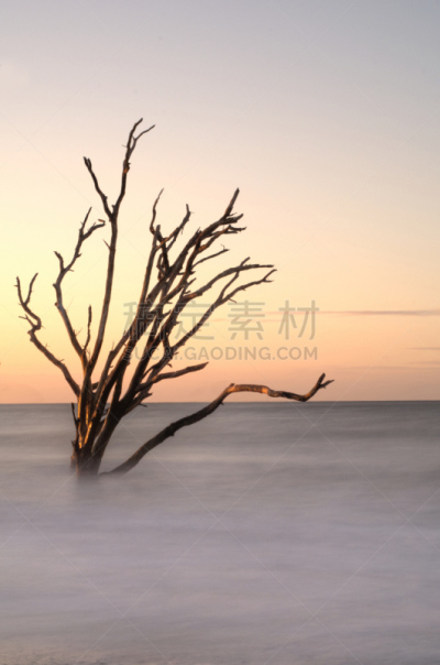 平和,海洋,垂直画幅,水,天空,查尔斯顿,风化的,沙子,大西洋,早晨