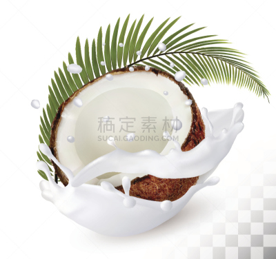 椰子,牛奶,背景,矢量,透明,未成熟的,贝壳,捷克,水滴,热带气候