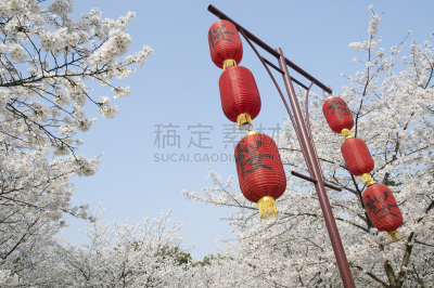 公园,樱花,自然,水平画幅,无人,日本,当地著名景点,户外,春天,著名景点