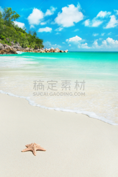 普拉斯林,海滩,海星,塞舌尔,岛,鸡尾酒,垂直画幅,水,美,度假胜地