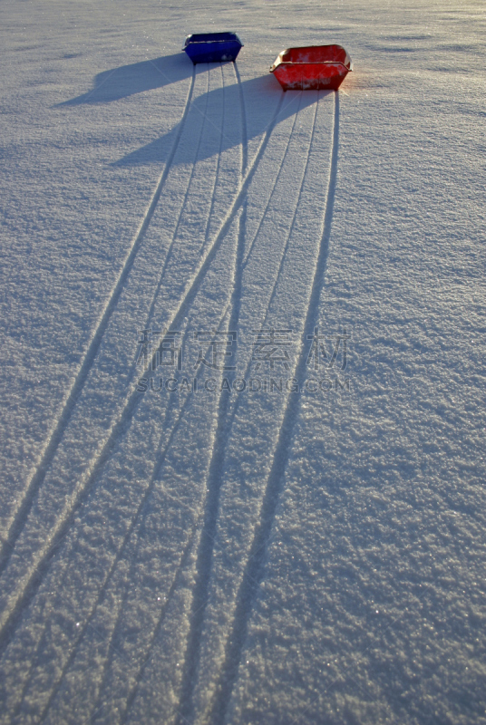 雪,动物雪车,一个物体,动物拉雪橇比赛,雪橇滑学,垂直画幅,前进的道路,寒冷,进行中,单车道