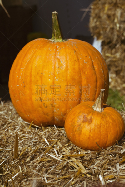 秋天,南瓜,糖南瓜馅饼,巨无霸的南瓜,农业市集,自然,垂直画幅,饮食,无人,生食