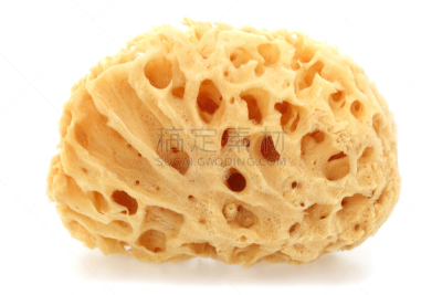 海绵,分离着色,天然海棉,自然,美,水平画幅,无人,浴室,白色背景,背景分离