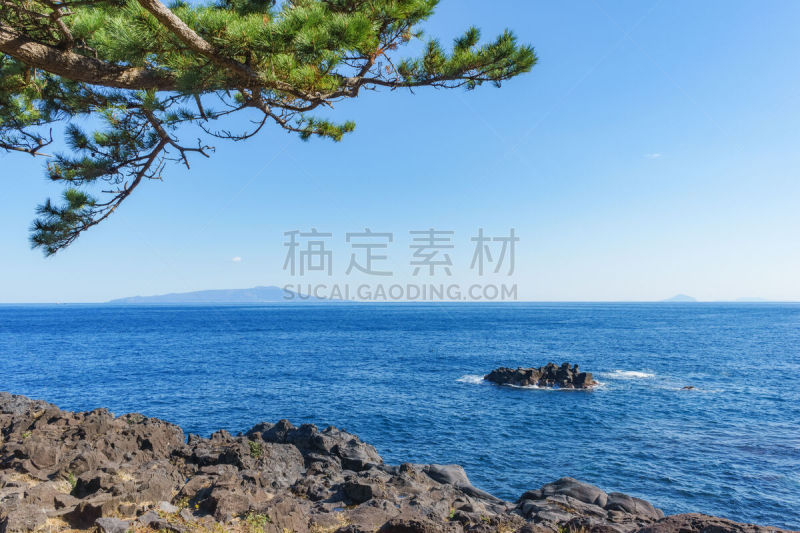 看风景,伊豆半岛,jogasaki,岛,东京病区,著名景点,春天,静冈县,户外活动,休闲活动