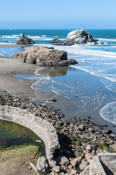 碧洋海滩,海岸线,旧金山,垂直画幅,水,沙子,户外,自然公园,海浪,植物