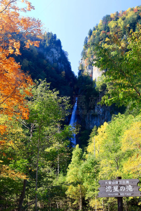 普氏野马,层云峡,大雪山国家公园,上川支厅,上川,北海道,垂直画幅,公园,秋天,瀑布