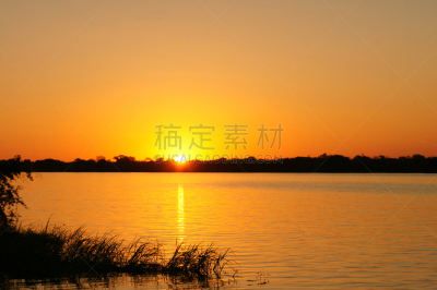 黄色,水,野生动物,水平画幅,无人,户外,丘比河,太阳,远征