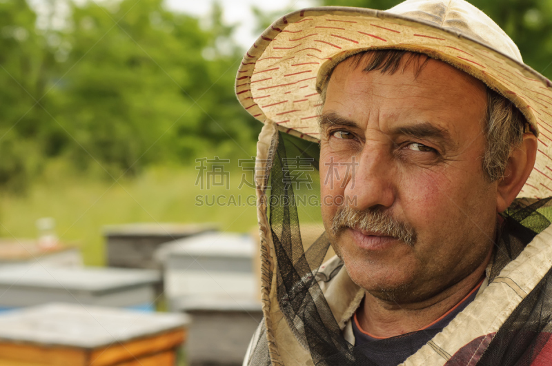 beekeeper,注视镜头,非洲杀人蜂,密封的,昆虫群,养蜂,蜂箱,六边形,水平画幅,蜜蜂