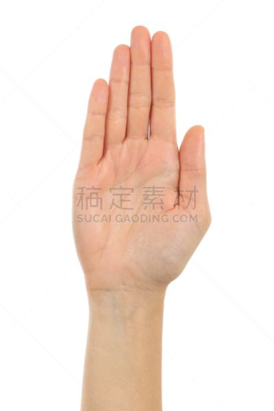 女人,手,前面,手掌,垂直画幅,正面视角,符号,白色背景,人