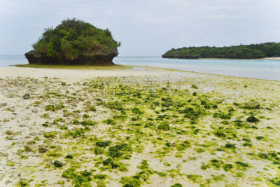 石垣岛,海湾,水平画幅,无人,户外,植物,海滩,热带气候,风景,岩石