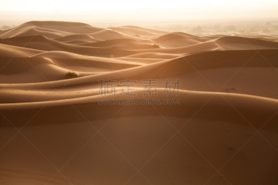 比沙丘沙漠,Erg Chebbi Dunes,自然,水平画幅,地形,沙子,无人,全景,非洲,夏天