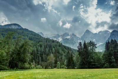 牧场,自然美,julian alps,低视角,天空,水平画幅,云,雪,无人,早晨