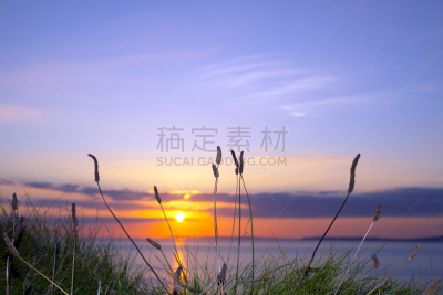 戈尔韦,草,野生植物,高大的,水,天空,干草,水平画幅,燕麦,无人