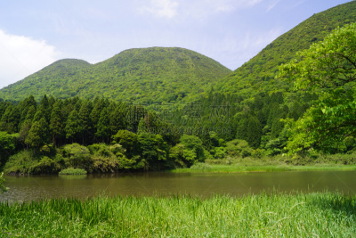池塘,自然,里山,箱根湿地植物园,水平画幅,地形,无人,户外,箱根园,富士箱根伊豆国立公园