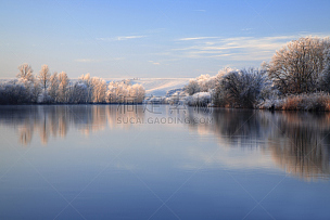 河流,地形,冬天,霜,早晨,湖,寒冷,莎草,雪,水