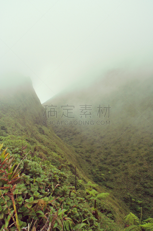 比利山,马提尼克岛,法国,岛,圣皮耶,垂直画幅,办公室,火山地形,植物,山