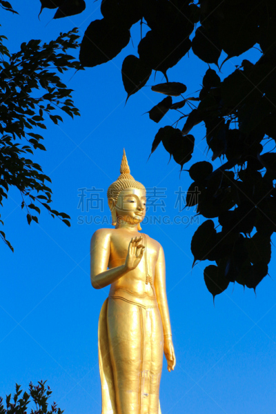 合艾市,山,金佛寺,城市,宋卡府,佛,垂直画幅,天空,黄金,旅游目的地