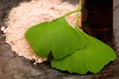 清新,叶子,银杏,香熏油,爽身粉,自然,矿物质,水平画幅,绿色,木制