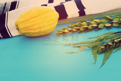 传统,符号,犹太教,传统节日,动物,数字4,番樱桃,生物,植物,背景