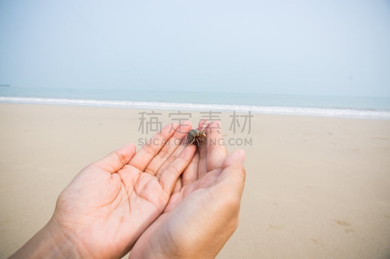 海滩,易接近性,在上面,寄生蟹,自然,水平画幅,沙子,人,拿着,旅行者