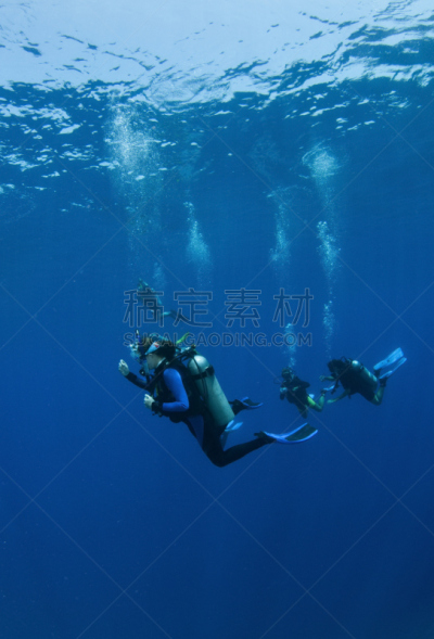 水肺潜水,垂直画幅,无人,蓝色,水下,达哈巴,红海,海洋,自然美,潜水