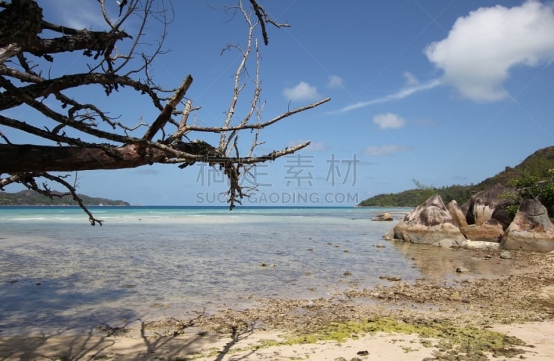 普拉斯林,塞舌尔,水,天空,水平画幅,沙子,无人,夏天,户外,棕榈树