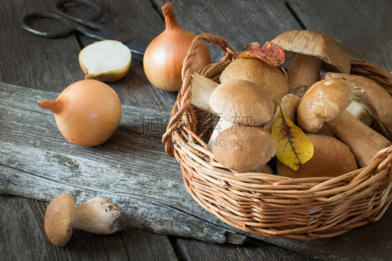 篮子,秋天,白蘑菇,清新,美味牛肝菌,概念,孢子,梁,porcini mushroom,厨房用品商店