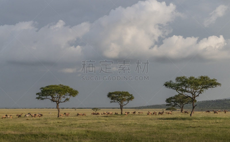 地形,建筑外部,乌云,自然,非洲,野生动物,世界遗产,环境,图像,格鲁美地河